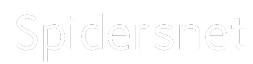 The Most Real SNAPI Site 2 logo