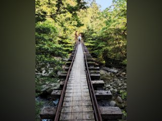 /photos/9869/0d0e142f-7b2f-36f6-5a5e-81323a46627e_i320x240.jpg