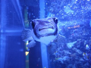 /photos/9869/896b0533-aec8-96be-b4b0-10891ab741ec_i320x240.jpg